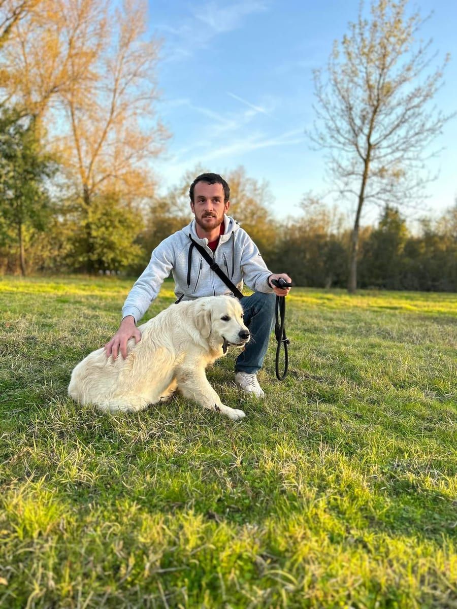 Profil de Ludwin